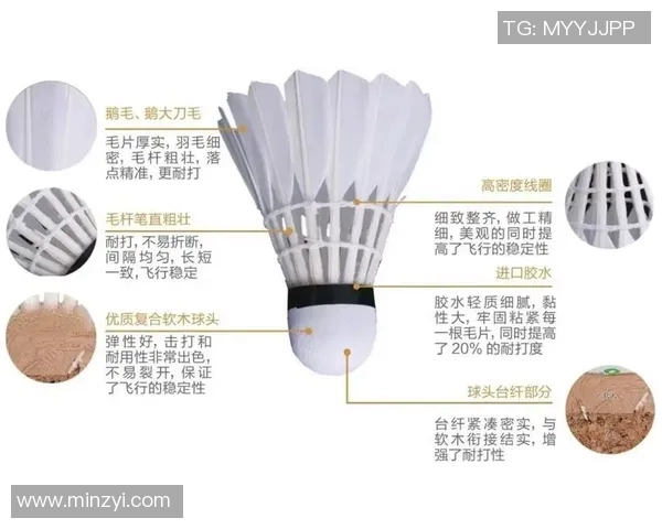 广州羽毛球队实力解析与发展前景探讨聚焦羽毛球运动的未来挑战与机遇